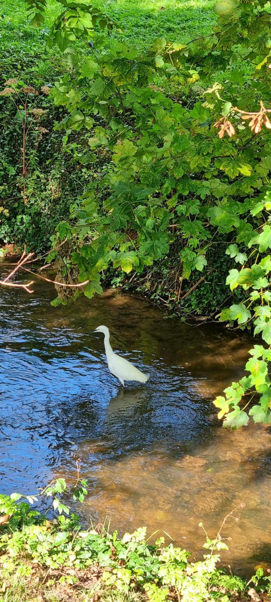 Ross-On-Wye Holiday Cottage 외부 사진